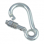 Spring hook with eyelet and self-lock nut