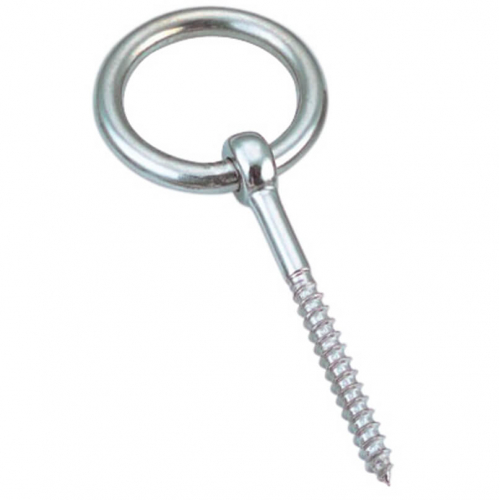 Eye bolt with ring