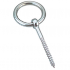 Eye bolt with ring