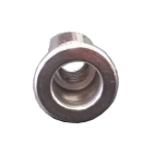 Blind rivet nuts with flat head